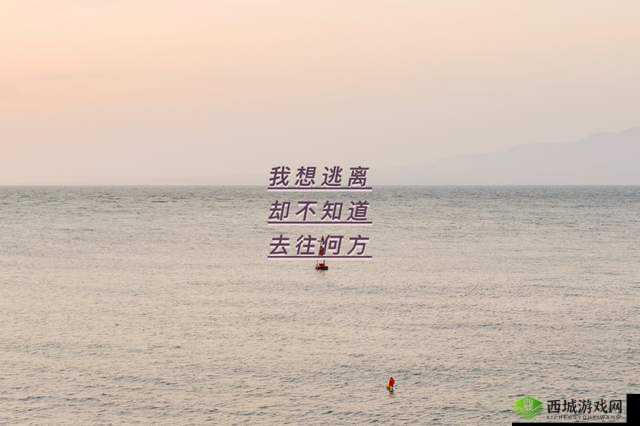 天堂に駆ける向天堂奔去：追逐梦想之光