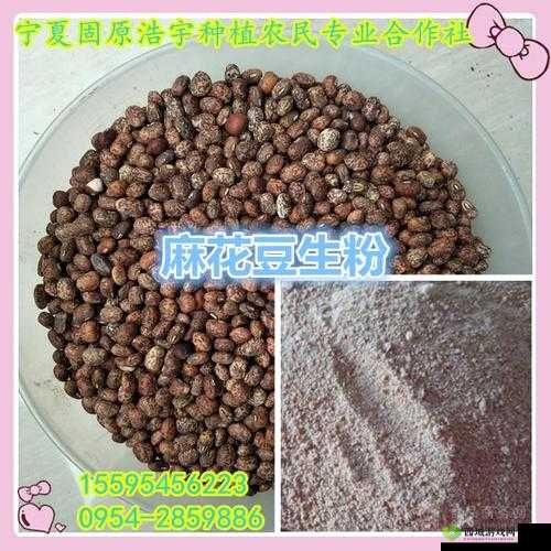 麻花豆精产三产区区别之特点分析