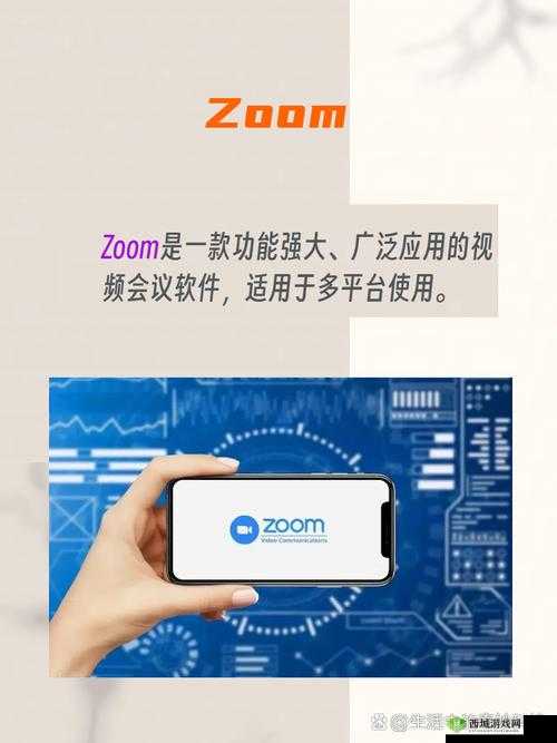 对比：ZOOM 与 ZOOMHD 性能孰优孰劣