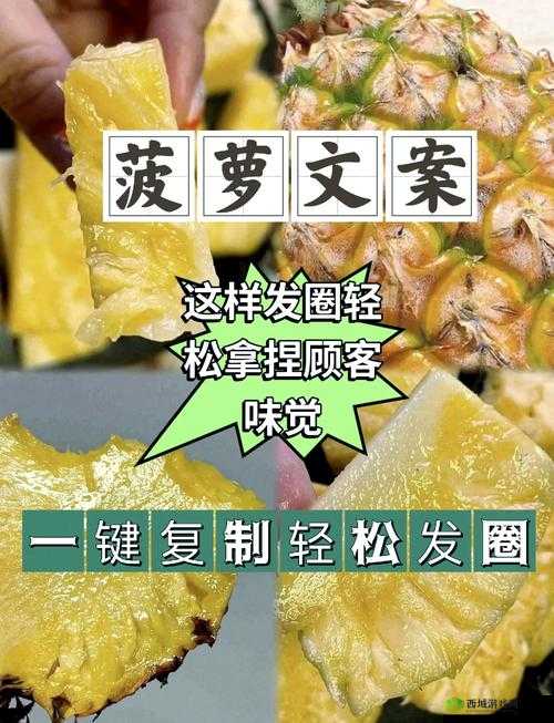 菠萝视频在线完整版免费观看高清，精彩内容不容错过