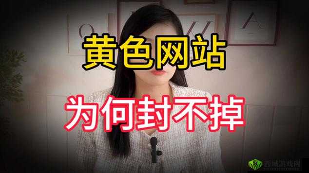 成年人黄色视频网站：探索无尽私密之域