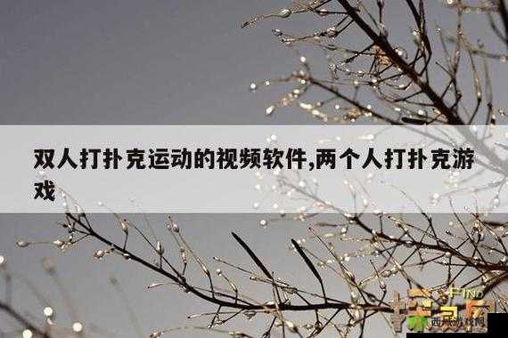 免费扑克视频大全软件下载：海量精彩视频等你来享