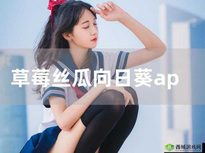 草莓视频app 下载向日葵视频 app 相关注意事项及说明