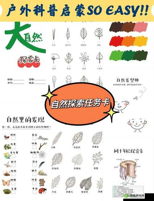 毛成片 1 卡 2 卡 3 卡 4 卡：探索未知的世界