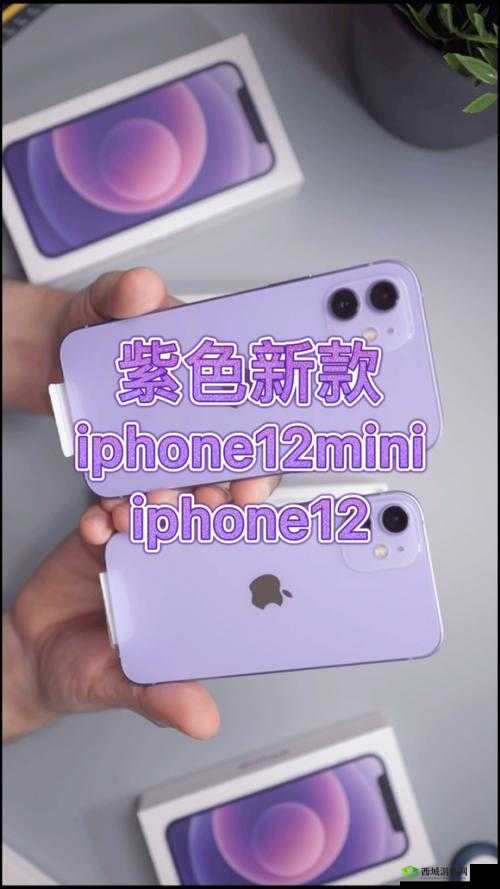 紫色浪漫新纪元，全面探索iPhone12外观设计的独特魅力