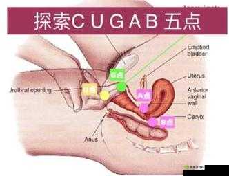 欧美舔阴视频：探索性爱的极致体验