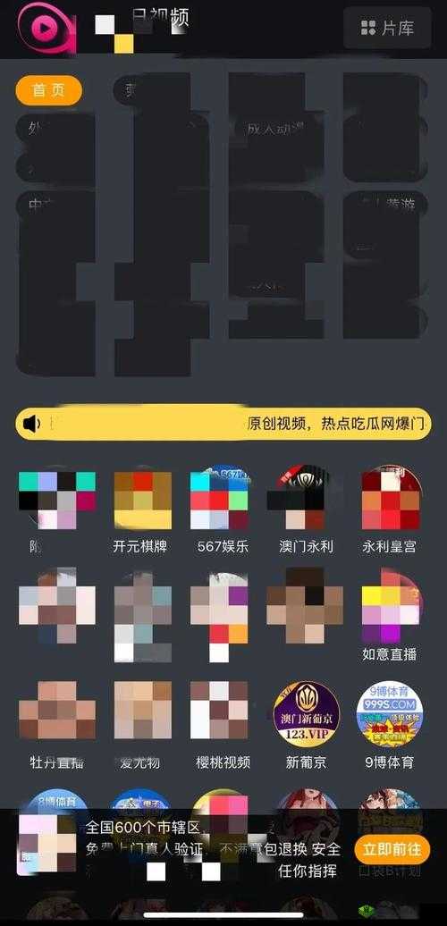 黄色录像 APP 引发热议：究竟隐藏着怎样的秘密