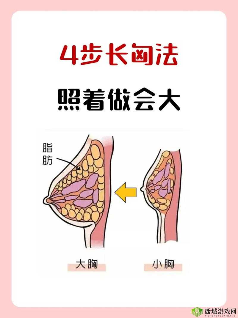 13 怎样让胸变大变软：探索青春期胸部发育的有效方法