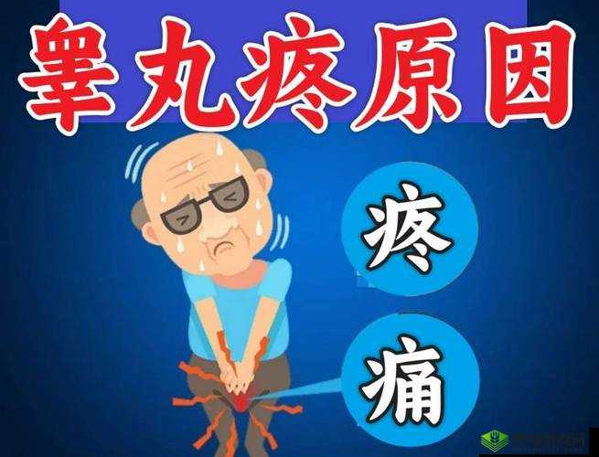 男生蛋蛋疼痛究竟有多难忍：深度探讨男生蛋蛋疼痛的程度及原因