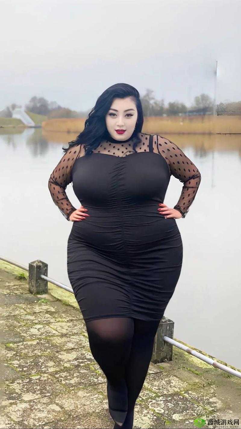 各种女 BBWBBwBBw 么：探寻丰满之美的魅力世界