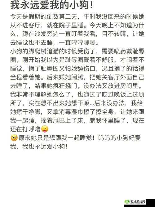 宝贝～腿开大点我添添公视频：探索别样私密体验