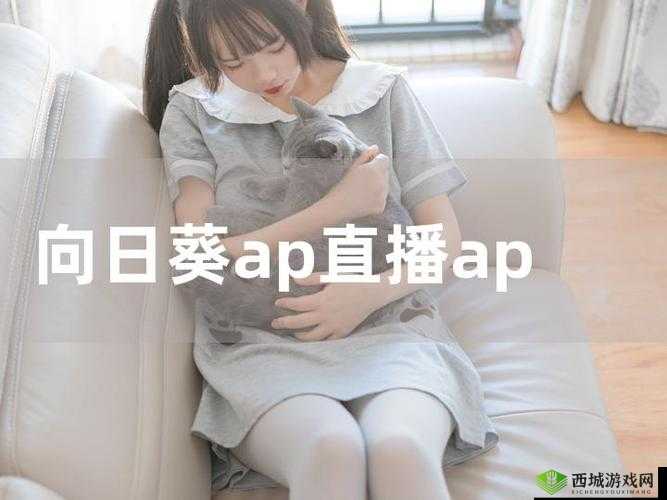 女人脱精光直播 app 大全：探寻刺激视觉的别样体验