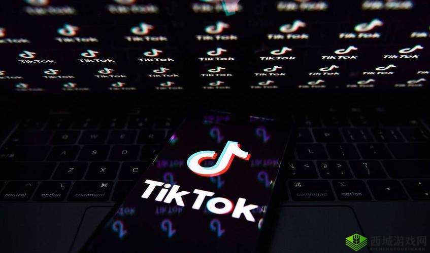 tiktok 官网：带你领略精彩短视频世界