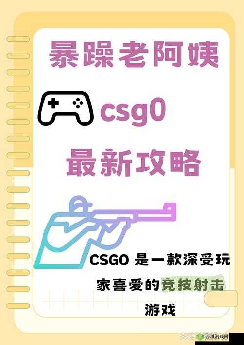 暴躁老奶奶的 csgo 比赛：看老奶奶如何在赛场上大杀四方