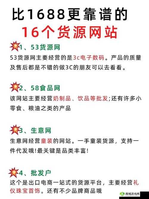 成品网站 1688 入口的代码体现：探索其背后的深层意义