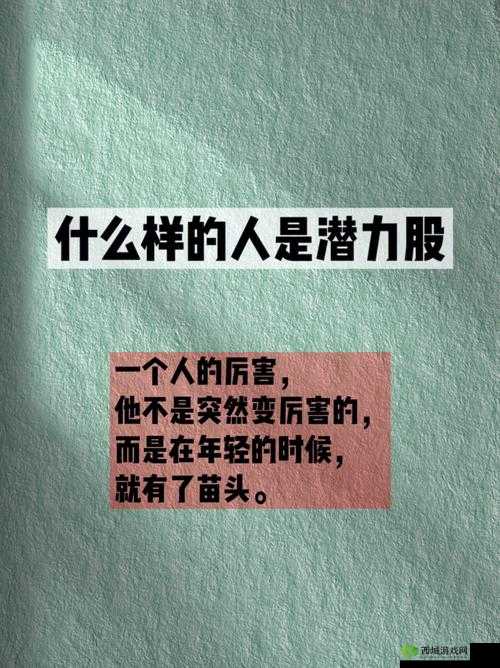 一二三产区的精华区：探寻其独特魅力与无限潜力的奥秘所在