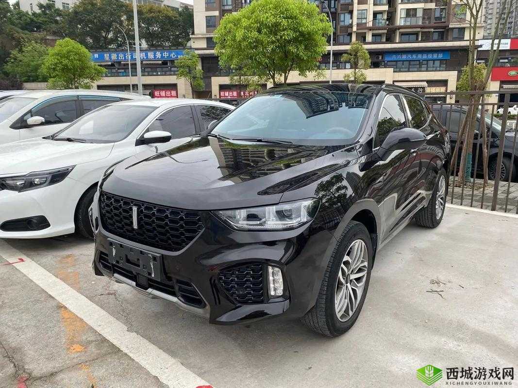 weyvv8 国产 SUV 引领豪华驾乘新潮流