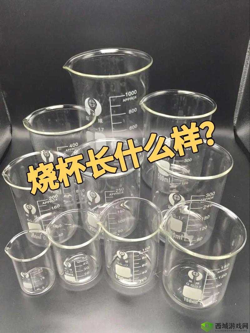 老公喊我烧杯究竟所指何意呢