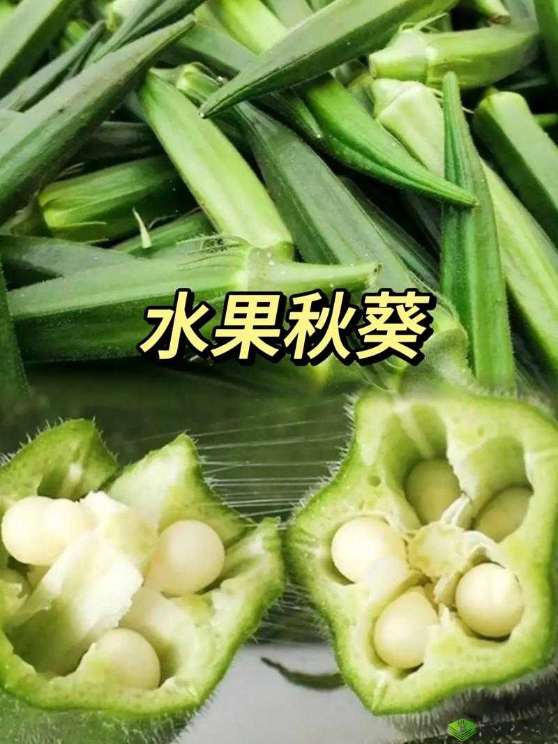 水果乐园：草莓香蕉丝瓜秋葵榴莲大揭秘