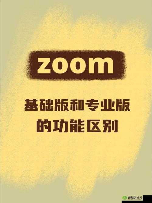 ZOOM 与人性 ZOOM2 的区别：在线会议软件的功能与人性的考量