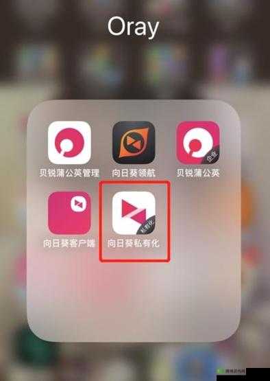 向日葵 app 在线 iOS 下载网址进入宣布不再更新啦