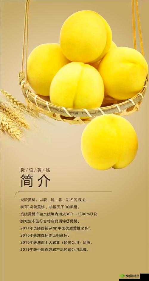 9612 黄桃亚洲品质蘑菇：独特风味的美味之选