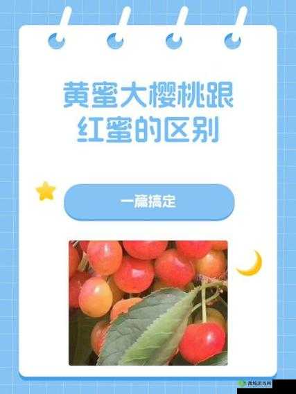 黄蜜大樱桃跟红蜜的区别：外观口感营养全面剖析