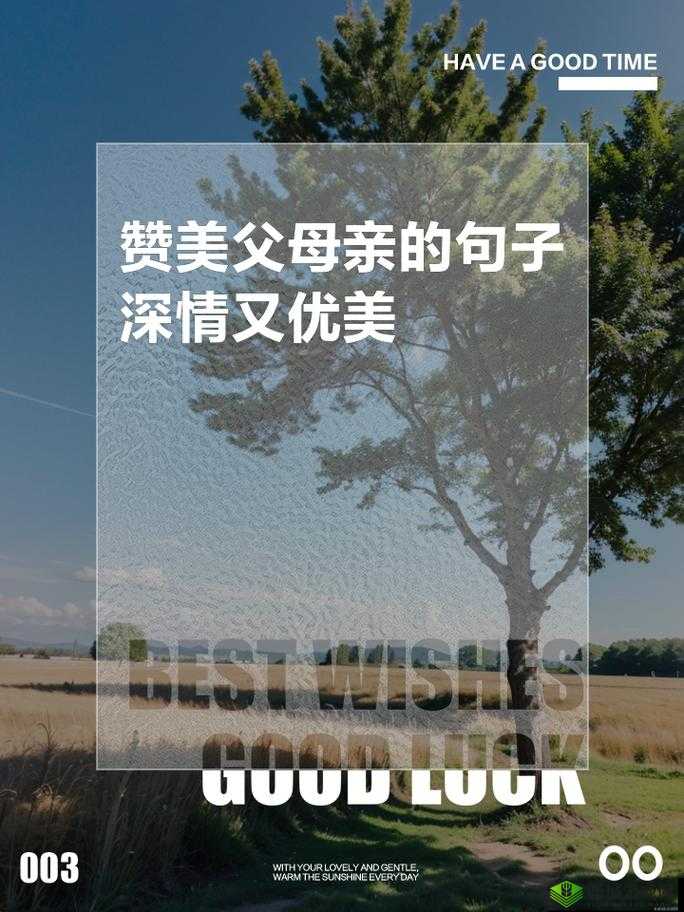 芦苇地里母亲说经典场景之对孩子的深切期望与教诲