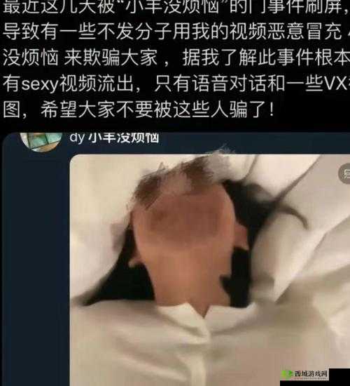 揭秘 51 国产黑料事件：深度剖析背后不为人知的真相与影响