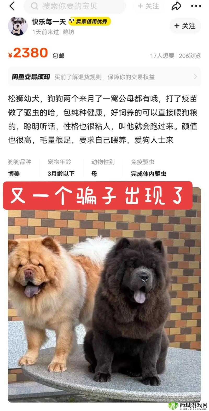 人or猪or狗已彻底下架老用户：相关情况引发广泛关注与讨论