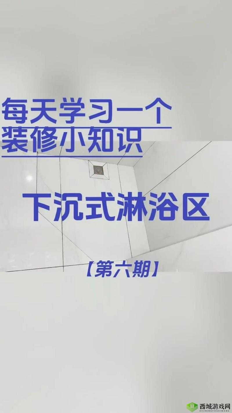 家里没人可不可以干湿你分离改造：探究家居环境优化新思路