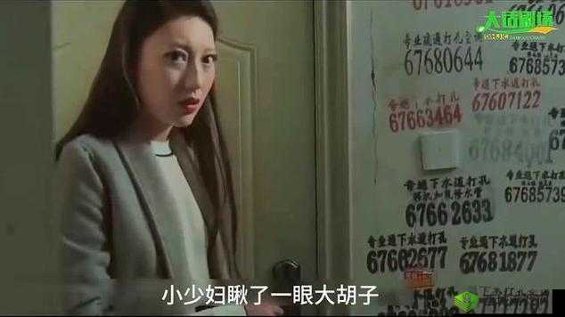 呆强上新婚少妇兰兰手机电影：别样情感纠葛的精彩呈现