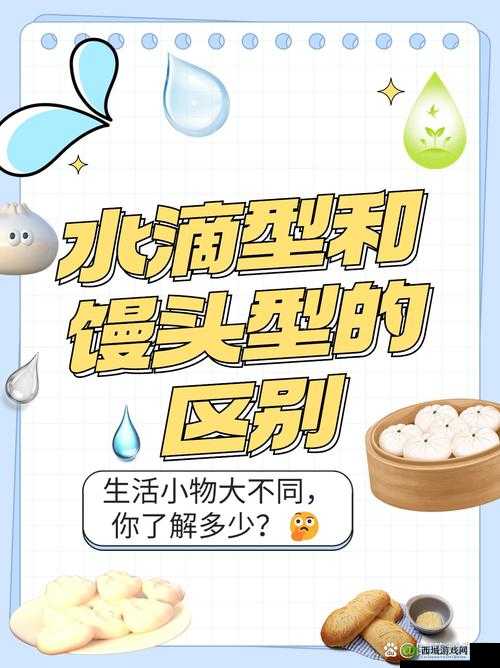 水滴型与馒头型的本质区别：形态特征及应用场景差异分析