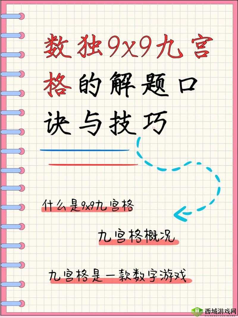 9x9x9x9x9x 任意槽使用方法详细解析及操作指南