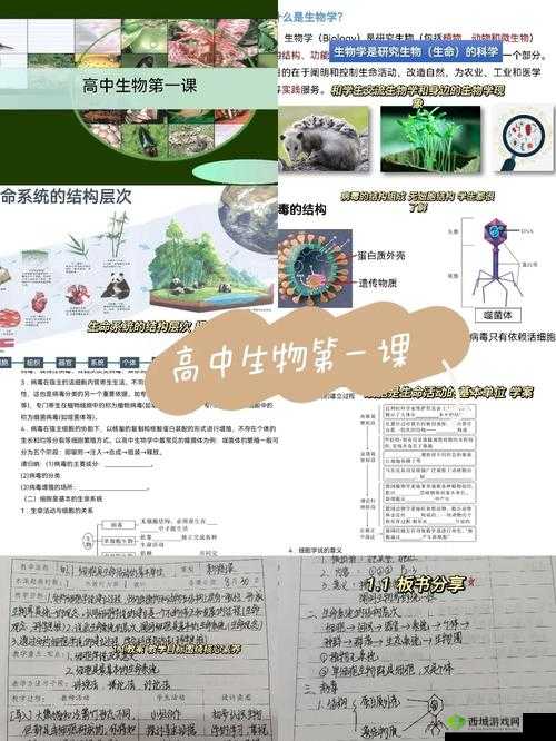 生物课老师以自身繁衍实例进行教学讲解