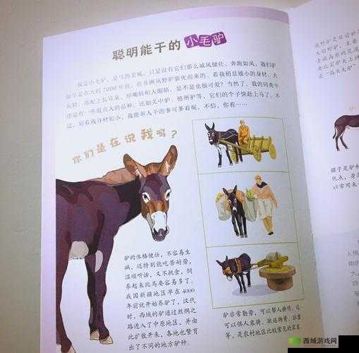 超级肉禽系统体验：探索未知的奇妙世界