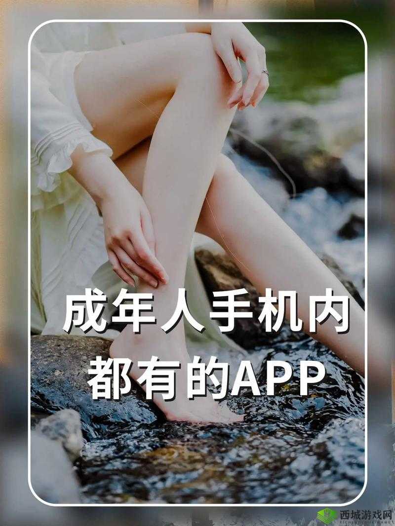 成人之间的私密互动：探索 A 级体验的奥秘