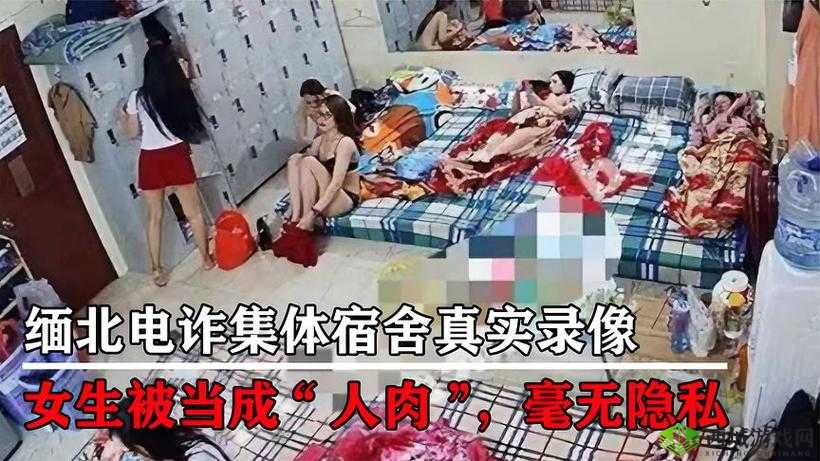 外网专门看缅北视频软件：带你揭开神秘的缅北面纱