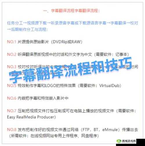 中文字幕视频如何翻译成英文：高效准确的翻译技巧与实践