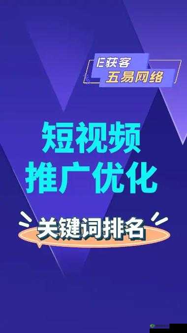 seo 短视频网页入口网站推广系统迎来新升级：以粉丝为中心再出发