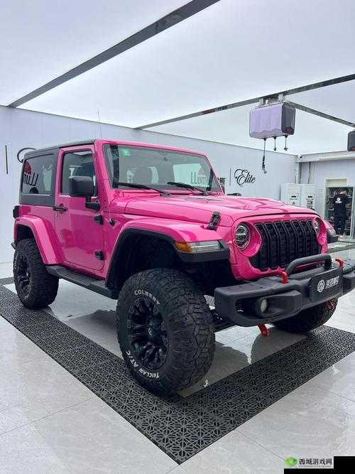 桃红 jeep 界色之关于其独特魅力与相关探讨