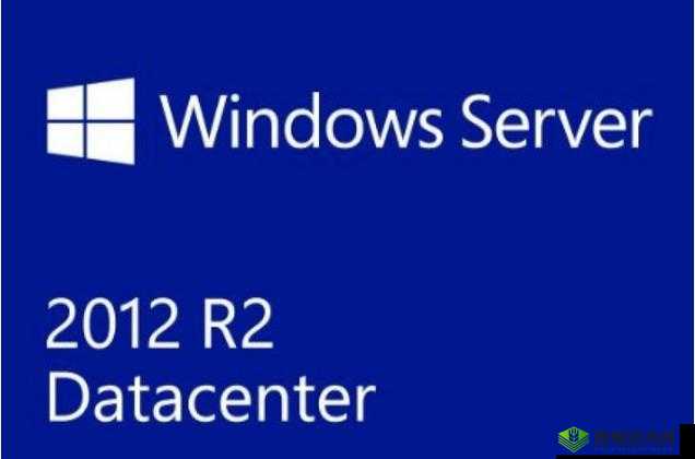 日本 Windows Server：提升企业效率的可靠选择