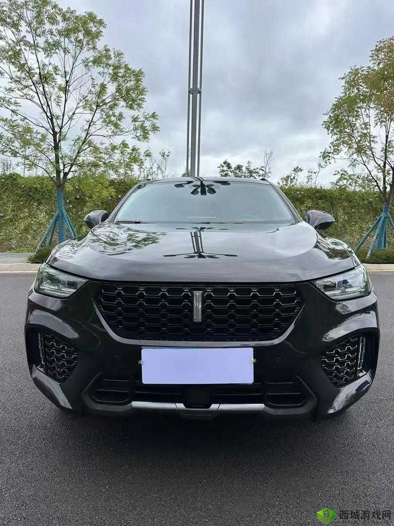 Wey VV5 国产的 SUV：畅享极致驾乘体验的魅力之选