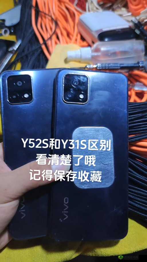 成色好的 Y31s 标准版入口取消隐藏：带来全新使用体验