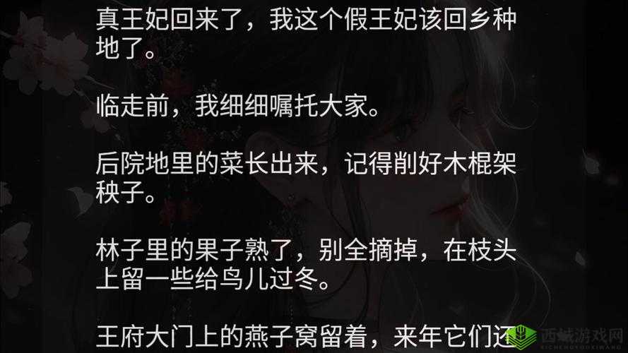 王妃回门然后被自己父亲大厅：背后的隐情与家族纷争