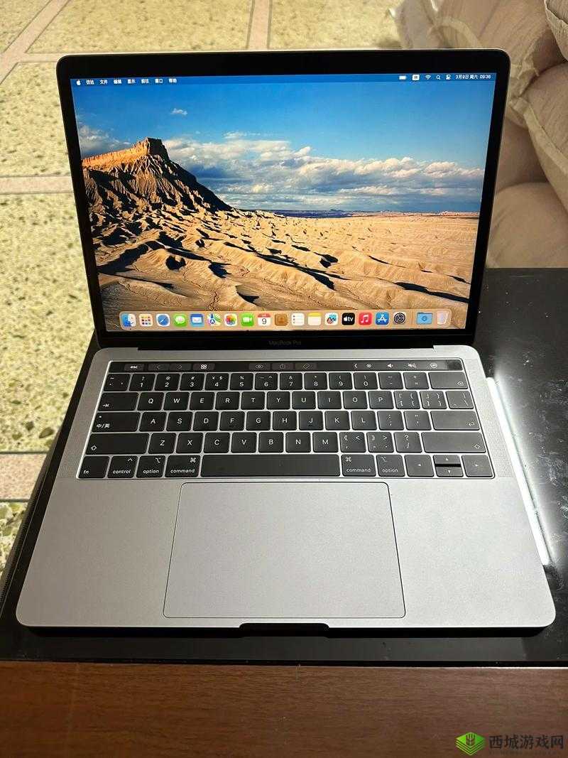 19 岁 macbookpro 欧美：年轻与科技的完美结合