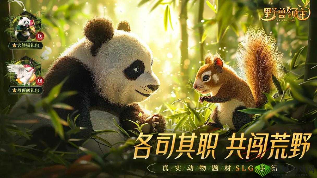 OOM 与动物 ZOOM 最新版本：探索神奇动物世界的全新体验