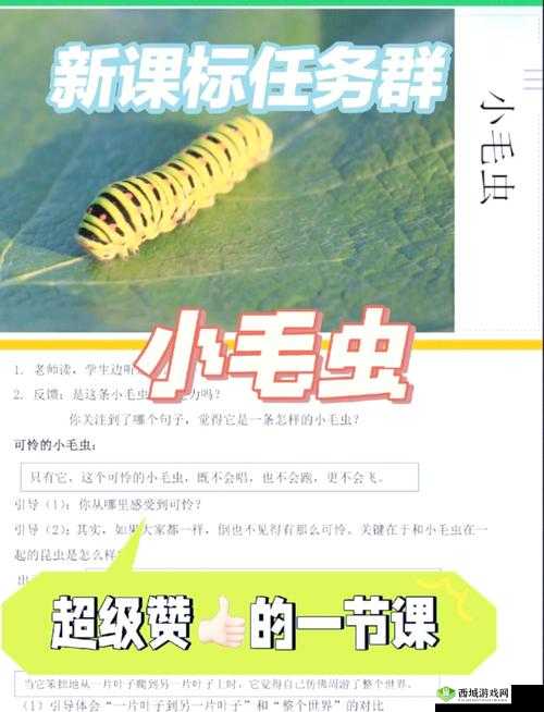 舌头探进蜜源毛毛虫说说视频：揭秘自然界的奇妙互动与生存智慧