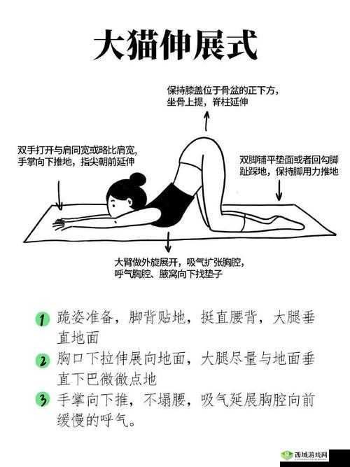 撅起来，自己报数，姜实践：探索独特健身方法的全面指南与效果分析