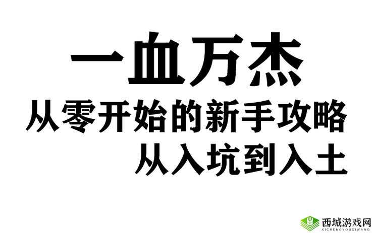 一血万杰游戏中魂力快速恢复技巧揭秘，探讨灵庙重要性及高效管理策略